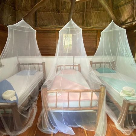 Casa De La Iguana Hostel Livingston Exterior photo